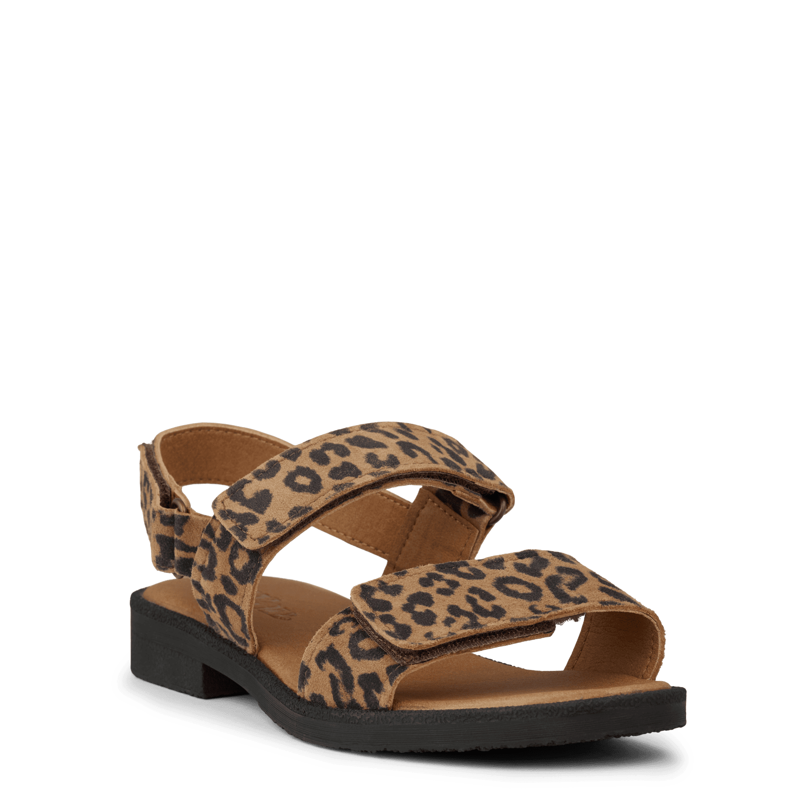 CAROLINE COMO - COGNAC